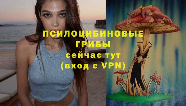 таблы Бронницы