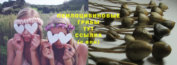 МДПВ Бугульма
