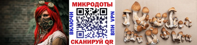 Галлюциногенные грибы Magic Shrooms Невель